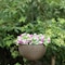 Gardenised Self Watering Bronze Hanging Basket Flower Planter-10 inch  QI003891 - alternate 6